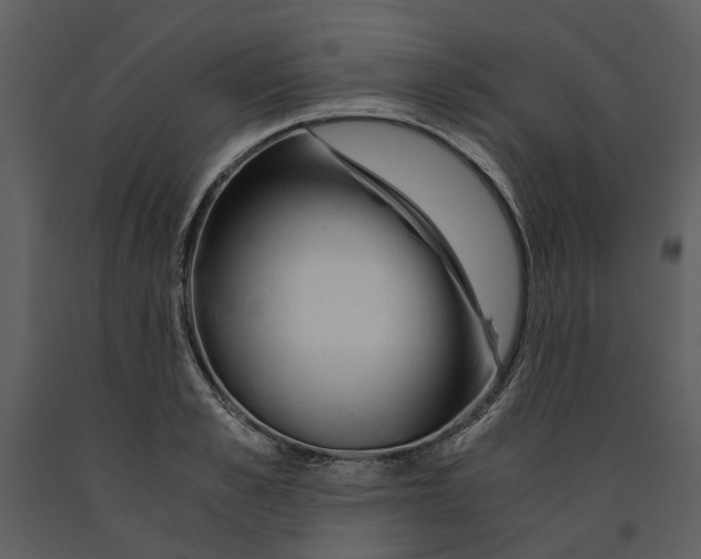 X0000090960989200708241148