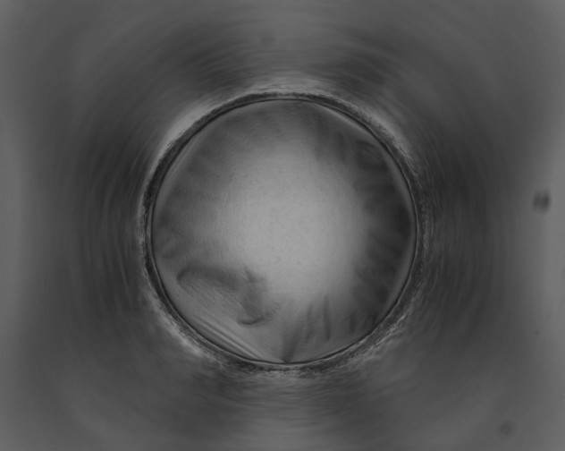 X0000090960990200708241148