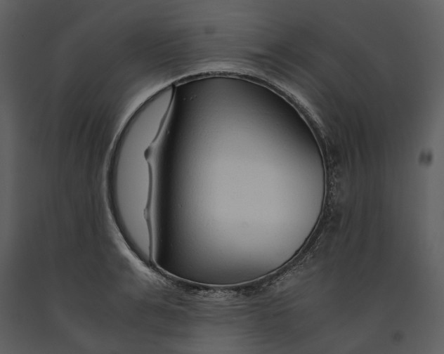 X0000090960991200708241148