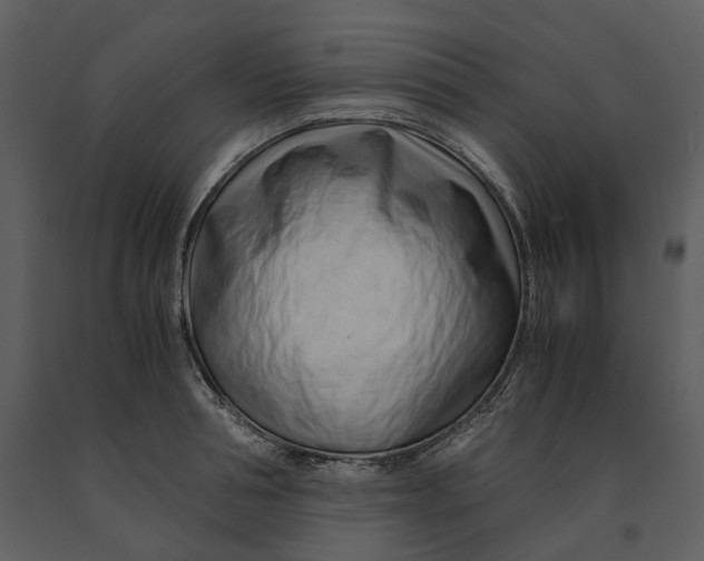 X0000090960994200708241148