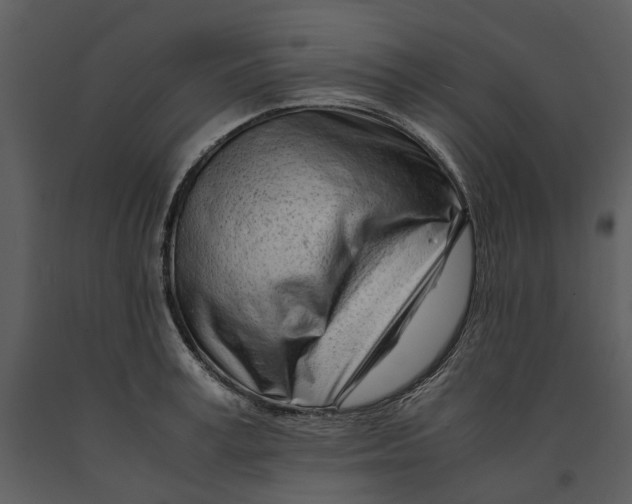X0000090960995200708241148