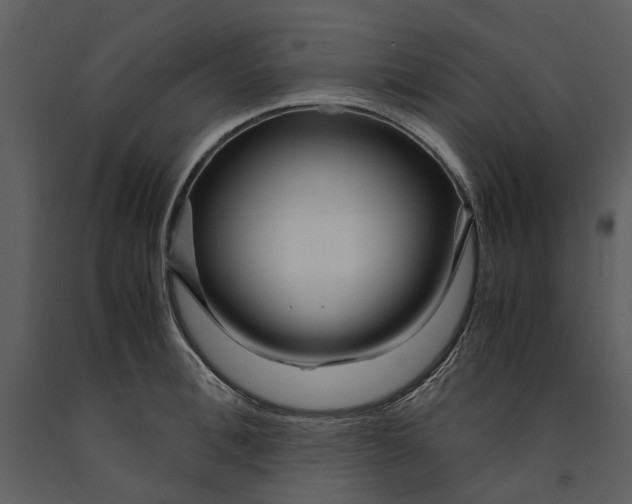 X0000090960996200708241148
