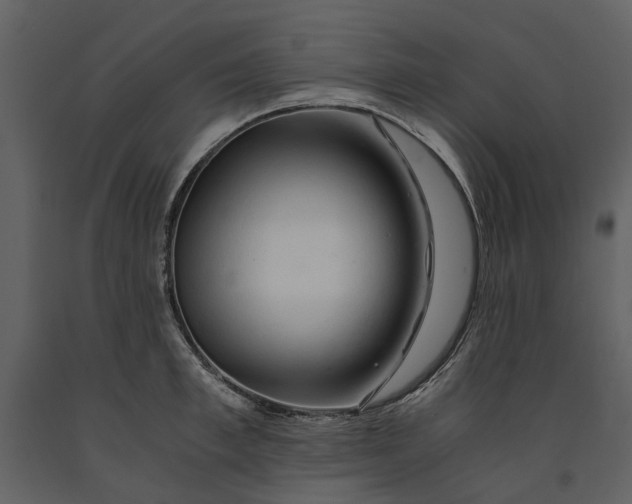 X0000090960997200708241148
