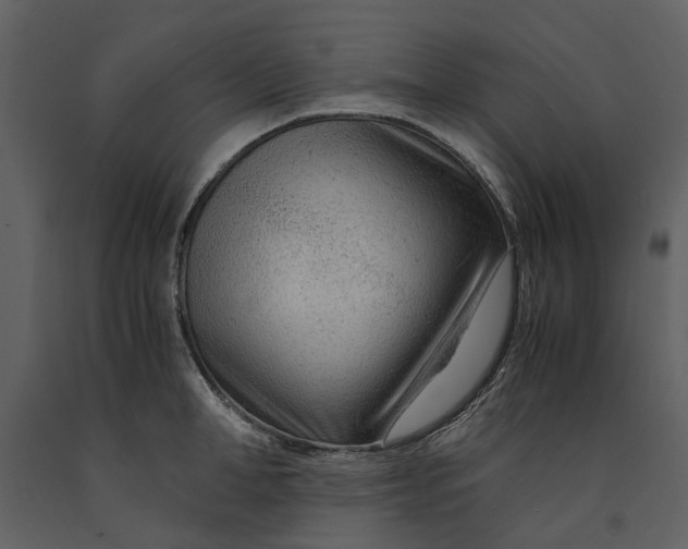X0000090960998200708241148