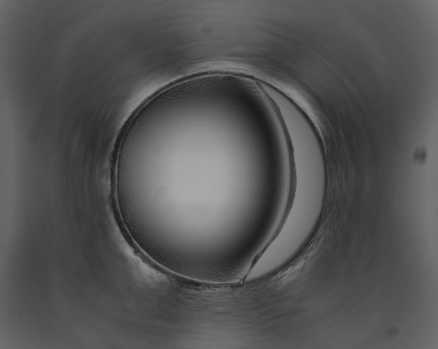 X0000090960999200708241148