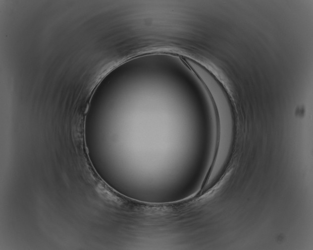 X0000090961001200708241148