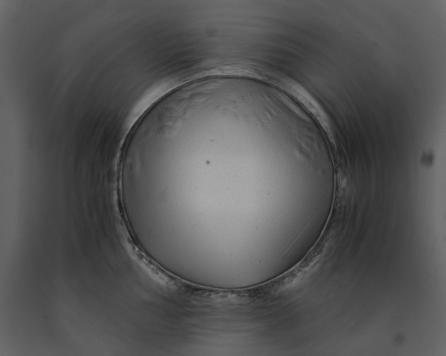 X0000090961002200708241148