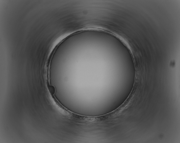 X0000090961003200708241148