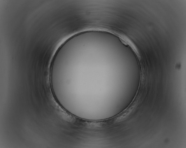 X0000090961004200708241148