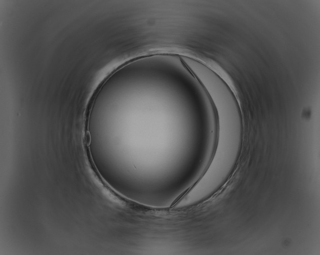 X0000090961005200708241148