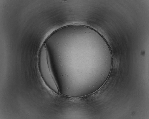 X0000090961006200708241148