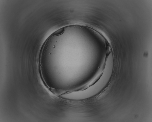 X0000090961007200708241148