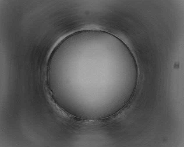 X0000090961008200708241148