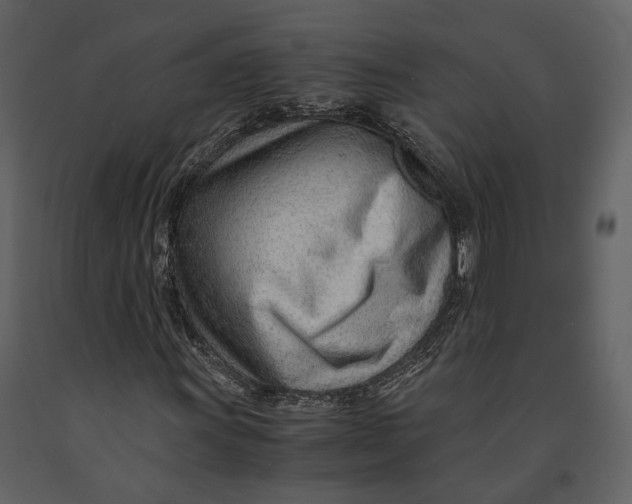 X0000090961011200708241147