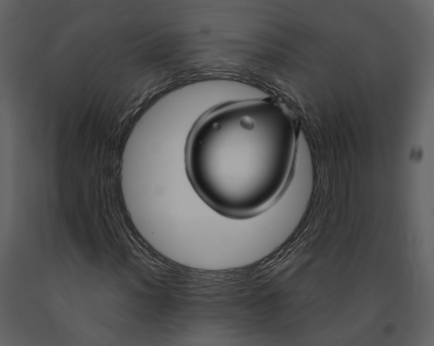 X0000090961012200708241147