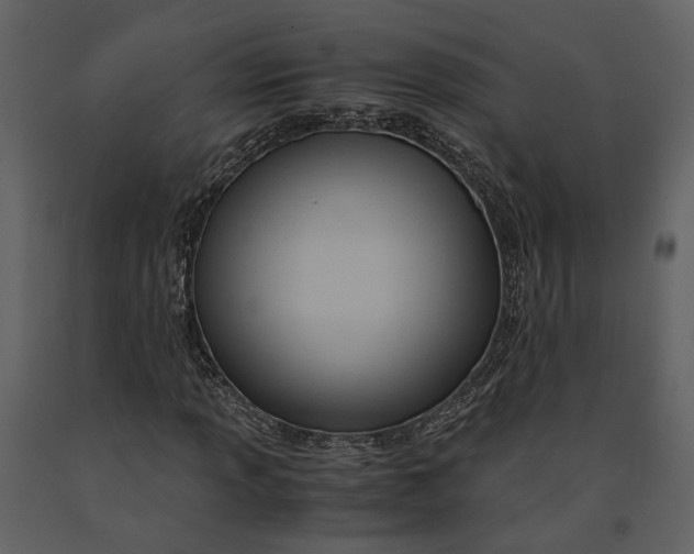 X0000090961013200708241147