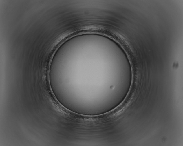 X0000090961017200708241147