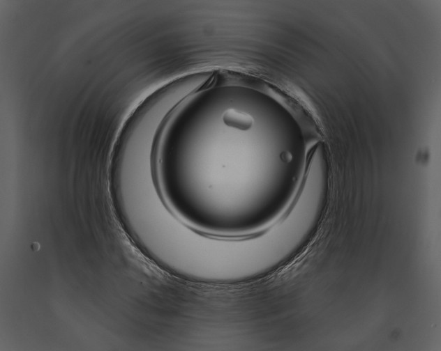 X0000090961020200708241147