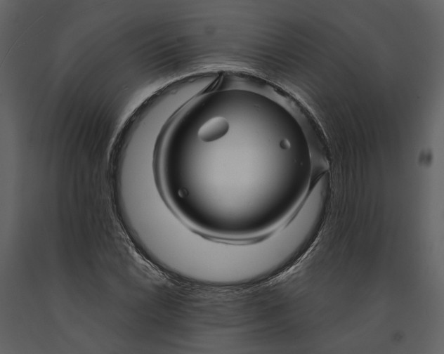 X0000090961022200708241147