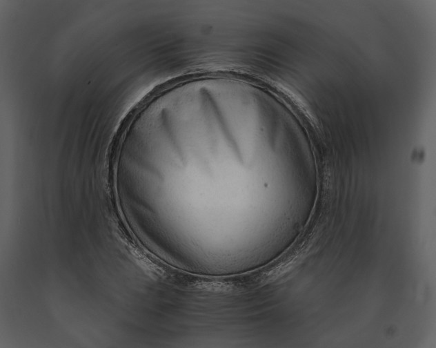 X0000090961023200708241147