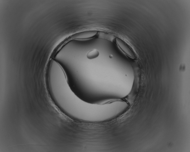 X0000090961024200708241147