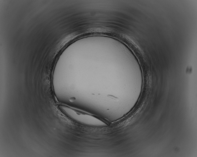 X0000090961025200708241147