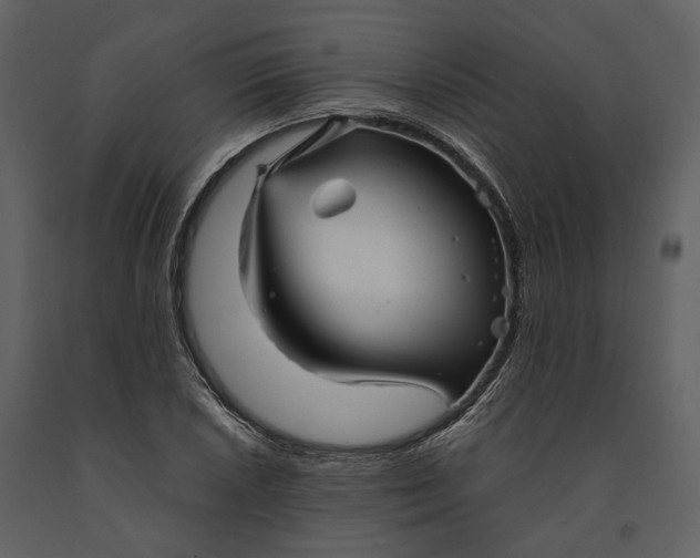 X0000090961026200708241148