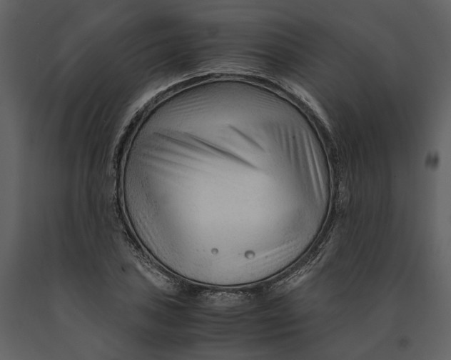 X0000090961027200708241148