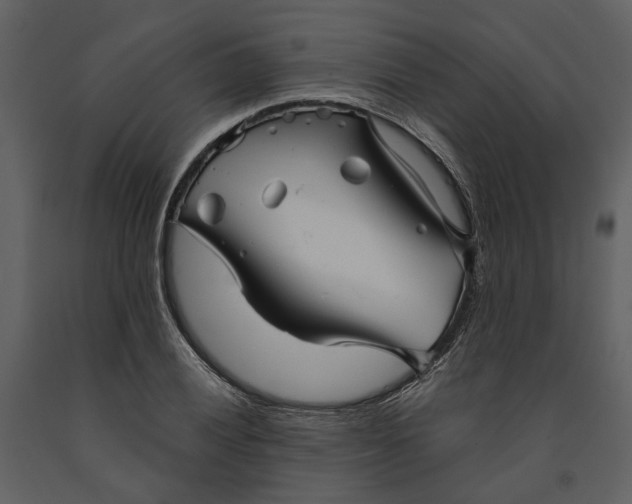 X0000090961028200708241148