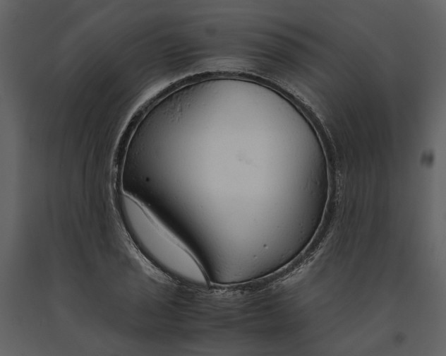 X0000090961029200708241148