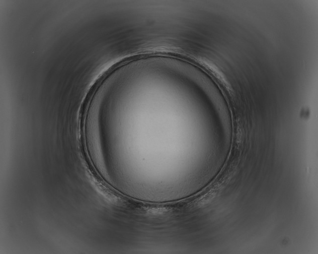 X0000090961031200708241148