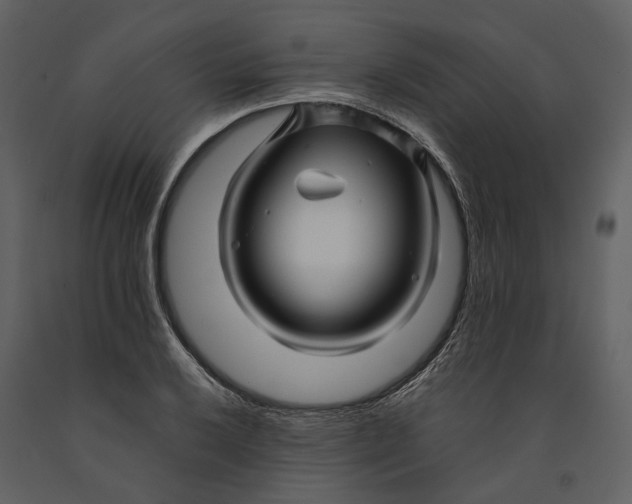 X0000090961032200708241148