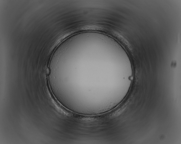 X0000090961033200708241148