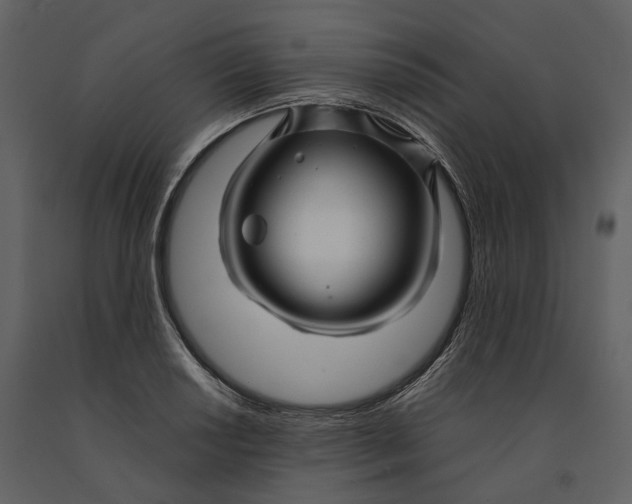 X0000090961034200708241148