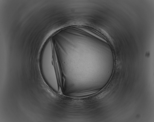 X0000090961035200708241148