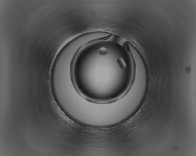 X0000090961036200708241148