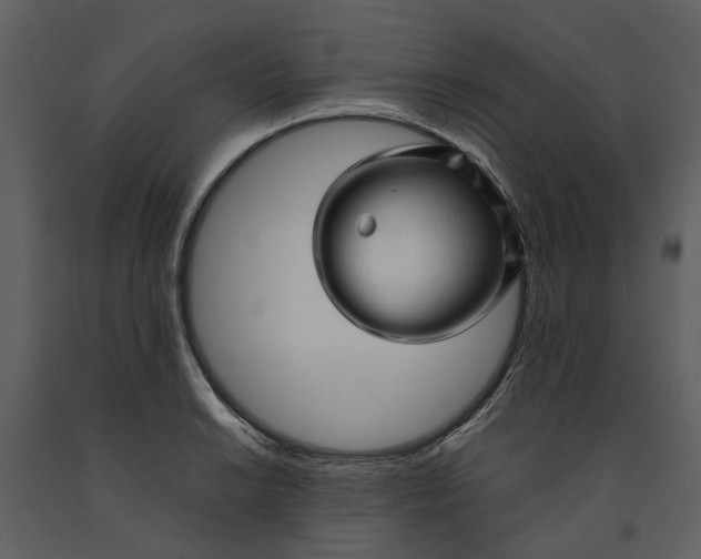 X0000090961038200708241148