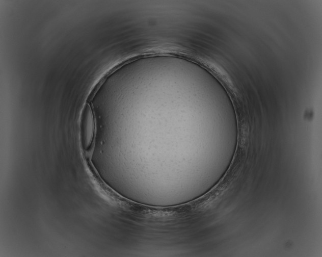 X0000090961039200708241148