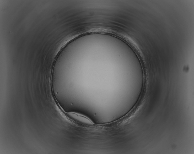 X0000090961041200708241148