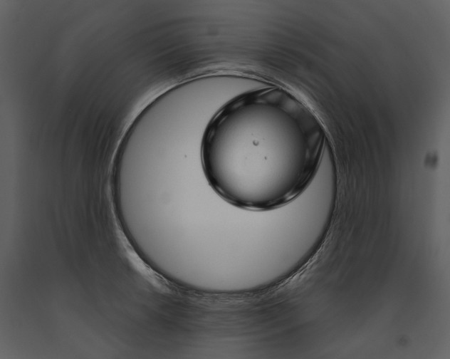 X0000090961042200708241148