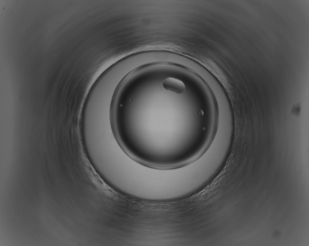 X0000090961044200708241148
