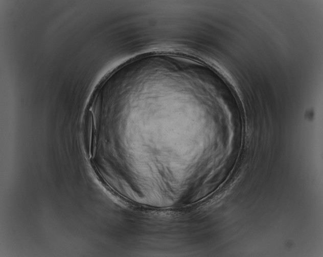 X0000090961045200708241148
