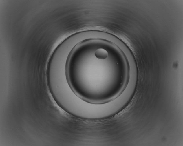 X0000090961046200708241148