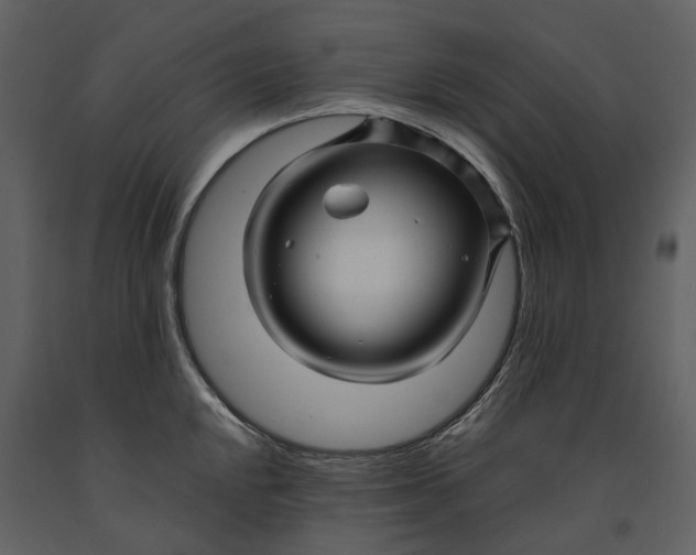 X0000090961048200708241148