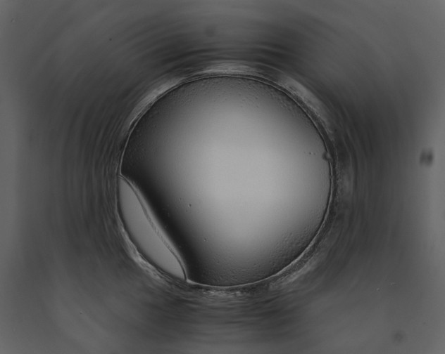 X0000090961049200708241148