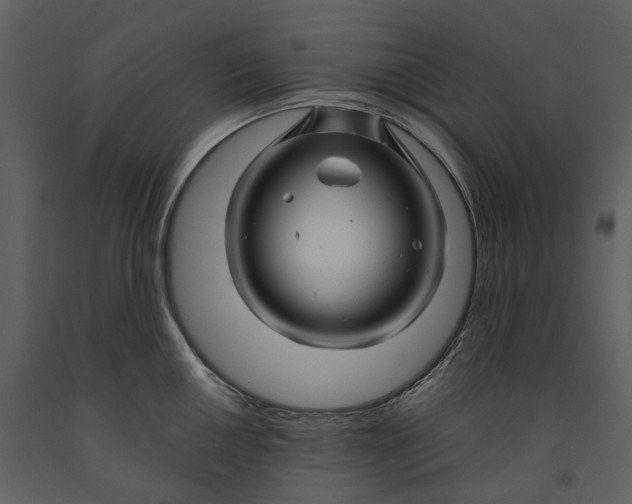 X0000090961050200708241148