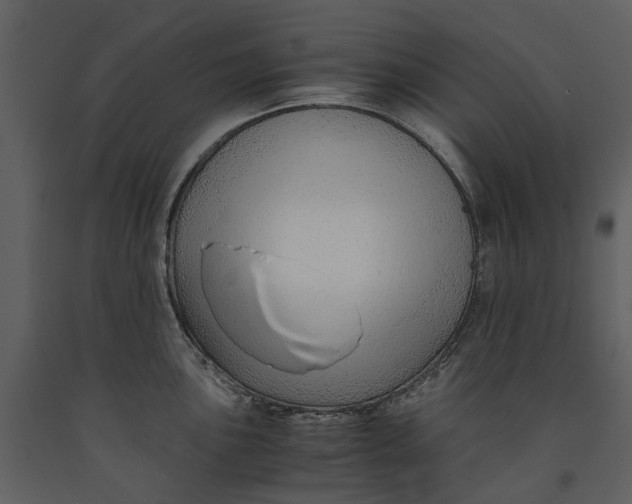 X0000090961051200708241148