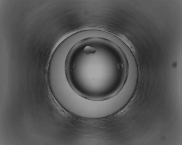 X0000090961052200708241148