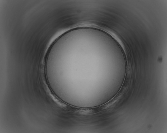 X0000090961053200708241148