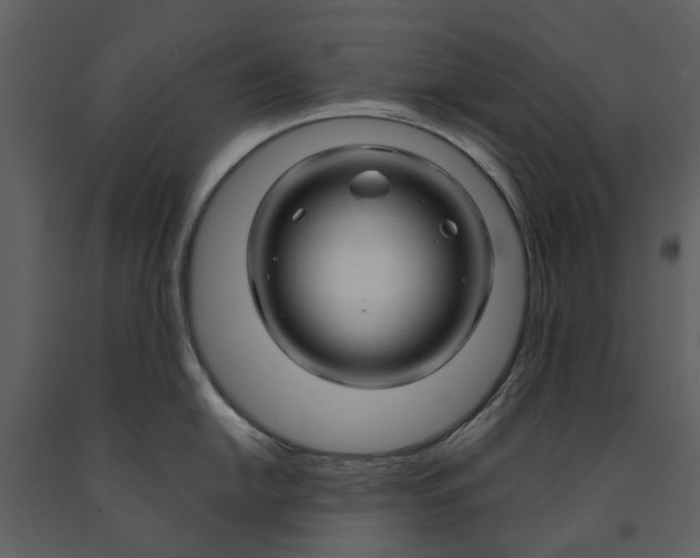 X0000090961054200708241148